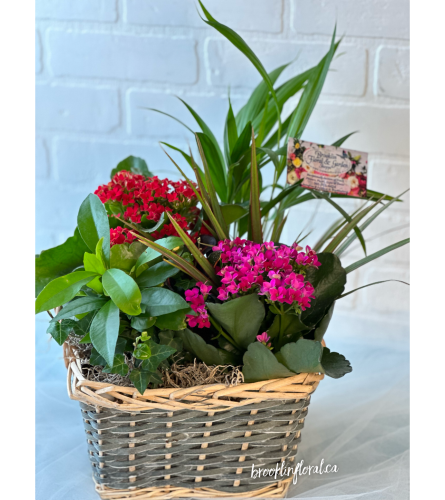 Tropical Garden in Basket