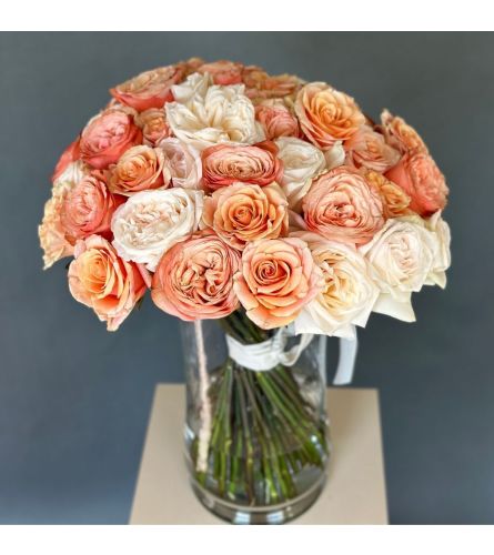 50 Garden Roses Nude Mix