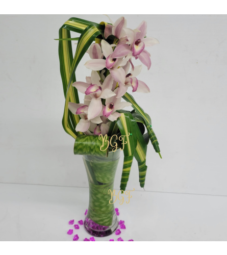 Elegant Cymbidium Touch