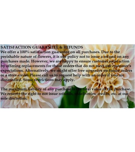 Store Policy no Refunds. An arrangement by Geni's Florist and Gifts.
