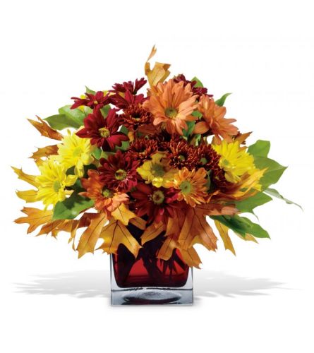 Teleflora's Mum Montage. An arrangement by Balloon Bouquets Plus.