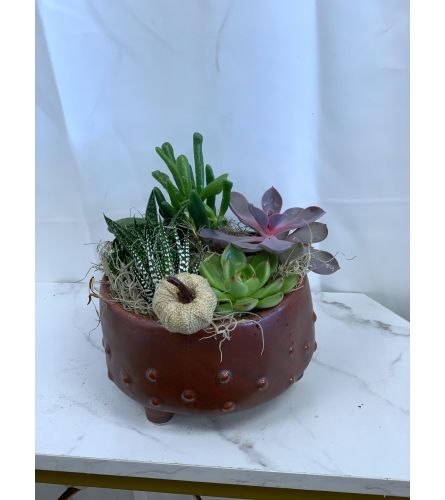 Fall Copper Succulent Pedestal