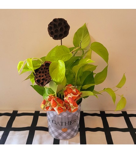 Gather Plant 1. An arrangement by A Loving Touch Florist.