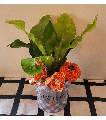 Gather Plant 2. An arrangement by A Loving Touch Florist.