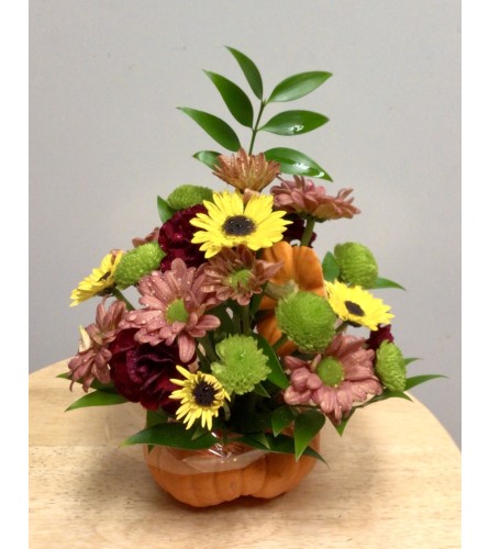 Mini Pumpkin Bouquet - Standard. An arrangement by Roma Flowers and Gifts.