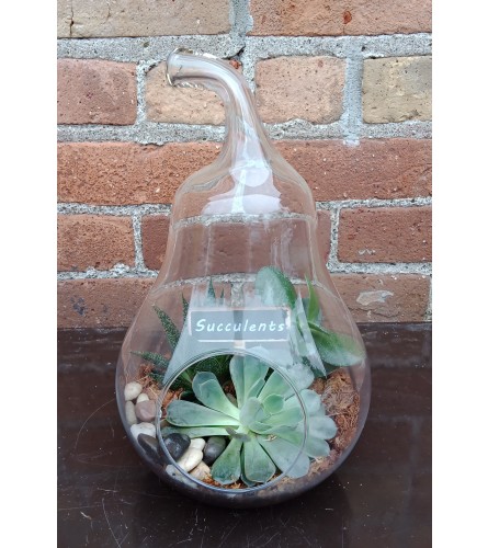 'By Design Glass Pear Terrarium