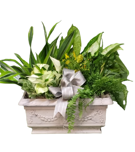 Memory Garden Planter