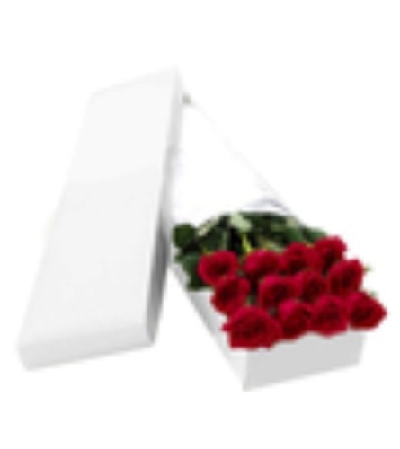 Elegant Boxed Roses