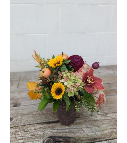 Harvest Joy. An arrangement by The Garden Gate Gifts and Florals.