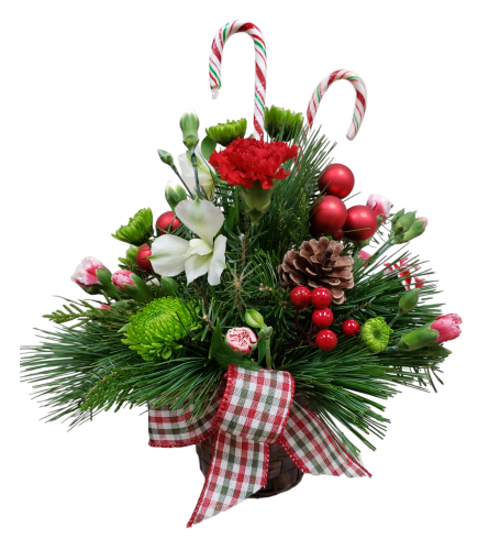 Holiday Wishes Basket - Standard. An arrangement by Flowers Plus.