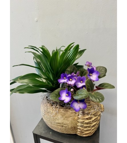 Rustic Acorn Planter. An arrangement by Marianna's Flower Island.