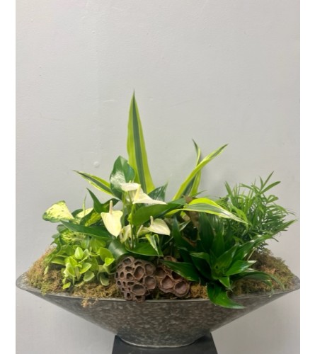 Sleek Planter