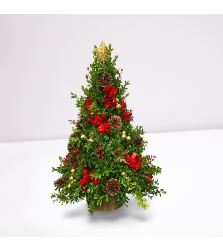 Mini Boxwood Christmas Trees