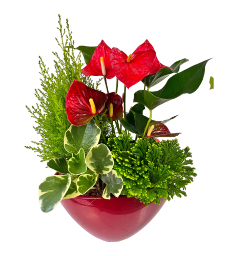 Christmas Red Ceramic Large Tropical Planter