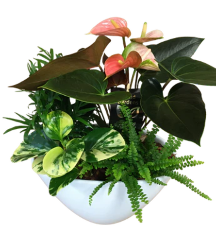 Indoor Tropical Planter