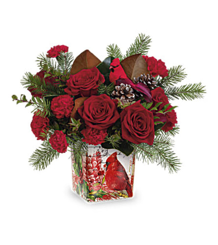 TF Cardinal Cheer Bouquet - Deluxe. An arrangement by Fine's Flowers.