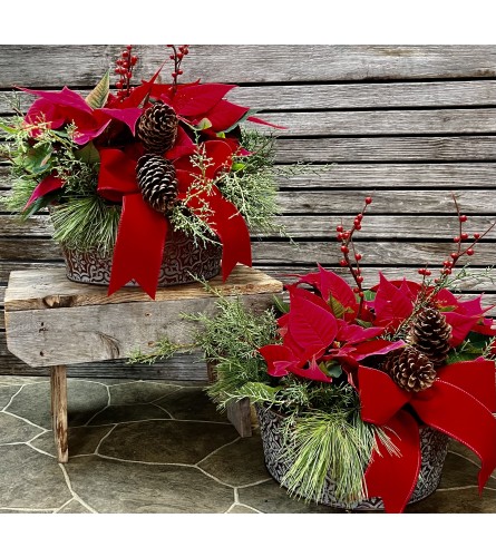 Festive Table Topper Poinsettia - Deluxe. An arrangement by Donato's Floral.