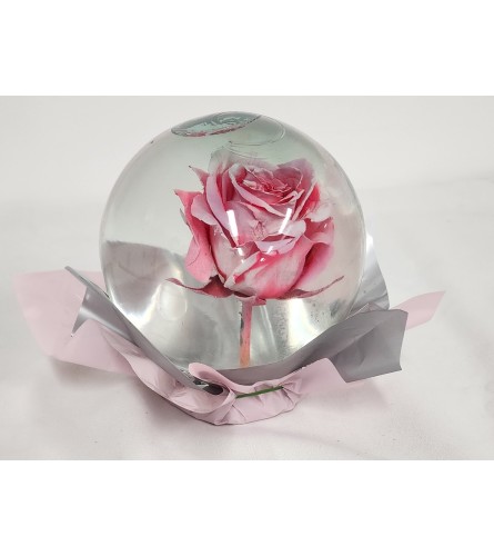 Light Pink and White Rose in Globe. An arrangement by Flowers of Jacksonville.