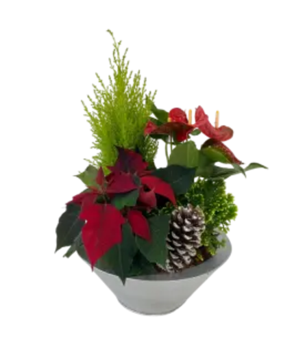 XL Christmas garden dish planter