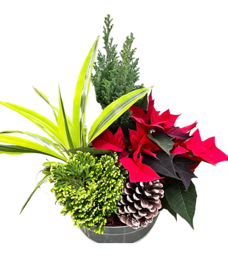 Large Christmas Tin Planter