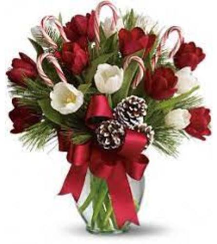 Holiday Tulip Bouquet