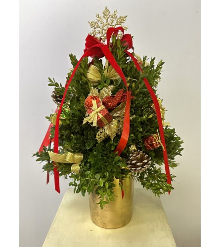 Ornamental Boxwood Tree. An arrangement by Montvale Florist.