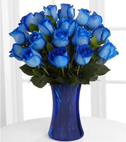 Garden Blue Roses