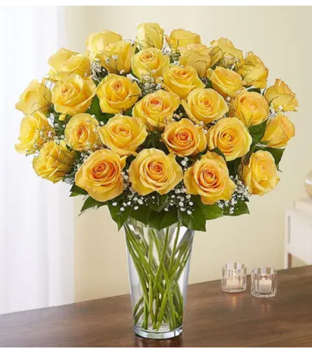 Ultimate Premium Long Stem Yellow Rose