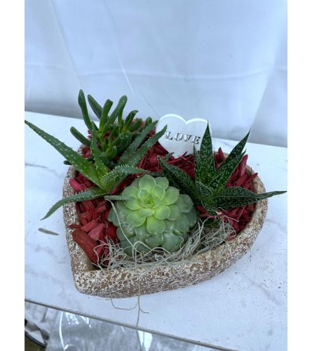 Valentine's Stone Heart Succulent Dish Garden