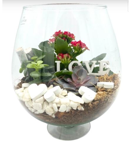 Classic Cognac Glass Succulent Terrarium Large