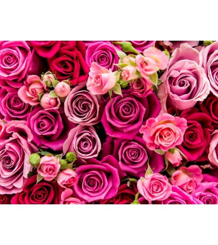 Stunning Valentine's Day Special - Deluxe. An arrangement by Appleblossoms Flowers, Gifts and More.