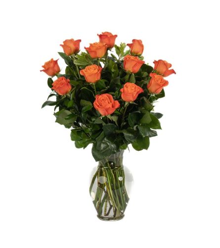 Orange Crush Roses