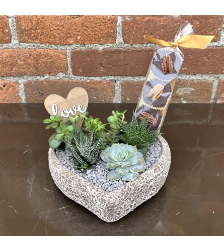 "By Design" Heart Succulent Garden & Caramel Trio