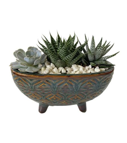 Fancy Succulent Planter