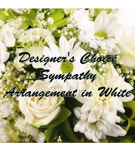 Designer Choice Sympathy in White