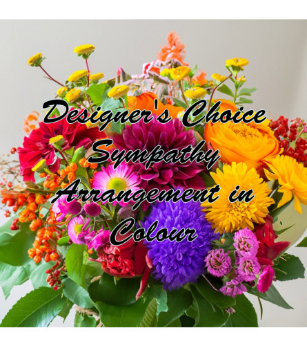 Designer's Choice for Sympathy in colour