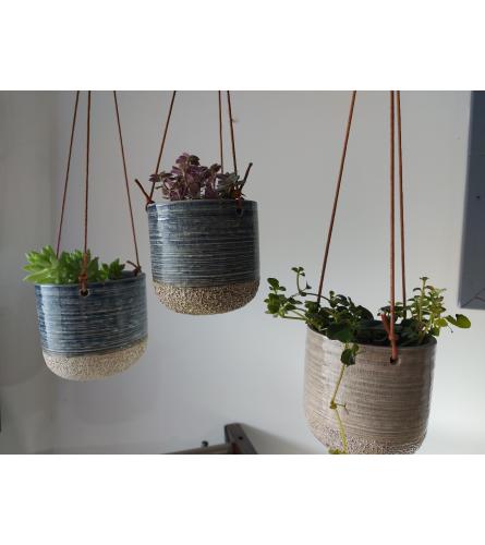 Hanging Pot of trailing succulents