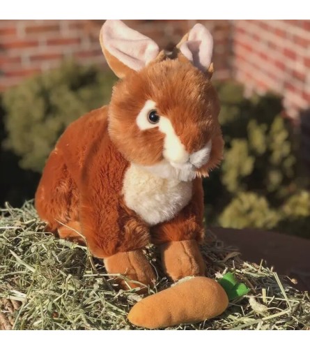 Toffee Brown Bunny