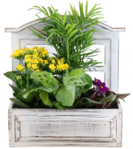 6x11" Window Box Wood Planter