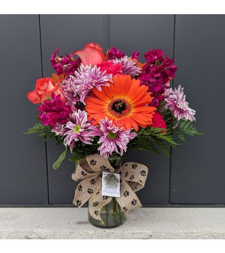Blumz Pet Sympathy. An arrangement by Blumz Floral Boutique.
