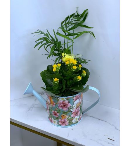 Watering Can Dishgarden