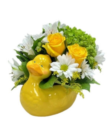 Little Ducky. An arrangement by Fendley Florists.