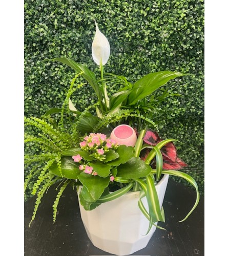 Large White/Pink Planter