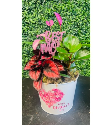 Mother's Day Tin Planter