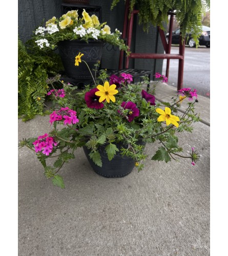 Outdoor Patio Pot