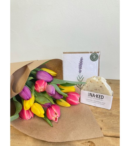 Tulip Treasures Gift Set