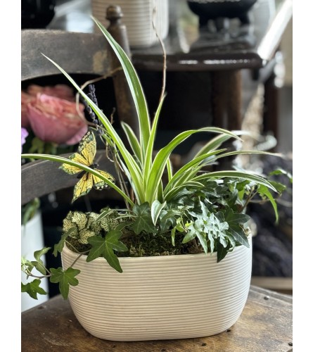 Summer Green Planter