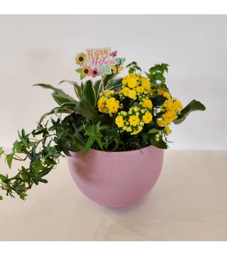 Pretty in pink Mothers day planter