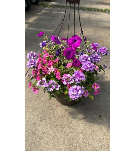 Annual Hanging Basket