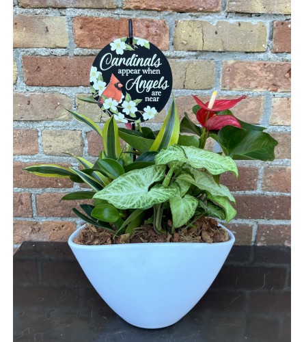 'By Design' "Cardinals Appear When Angels are Near" Planter